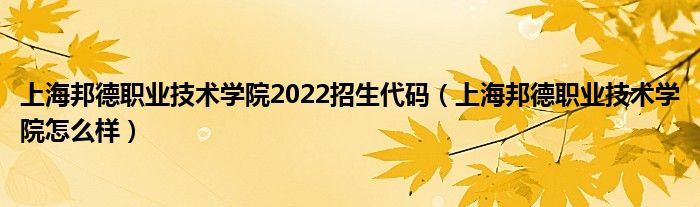 上海邦德职业技术学院2022招生代码（上海邦德职业技术学院怎么样）