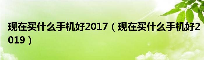 现在买什么手机好2017(现在买什么手机好2019)
