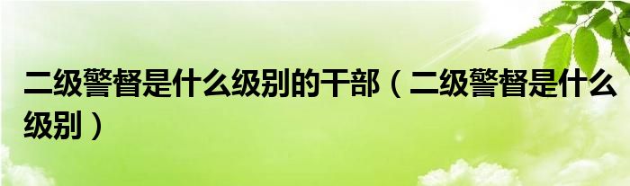 二级警督是什么级别的干部(二级警督是什么级别)