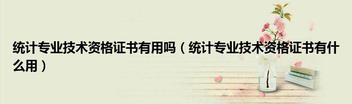 统计专业技术资格证书有用吗(统计专业技术资格证书有什么用)