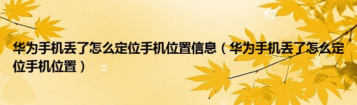华为手机丢了怎么定位手机位置信息(华为手机丢了怎么定位手机位置)