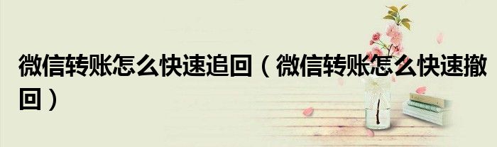 微信转账怎么快速追回(微信转账怎么快速撤回)