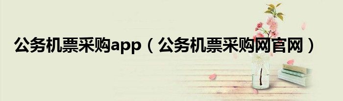 公务机票采购app(公务机票采购网官网)