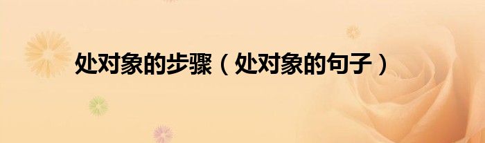 处对象的步骤(处对象的句子)