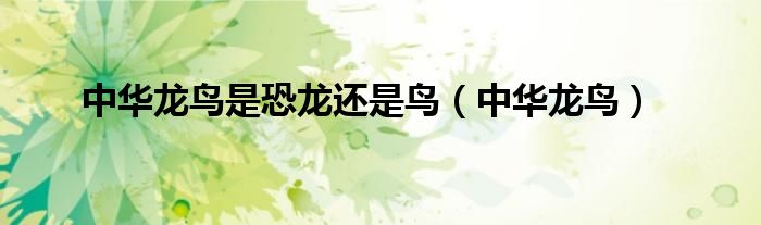中华龙鸟是恐龙还是鸟(中华龙鸟)