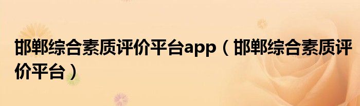 邯郸综合素质评价平台app(邯郸综合素质评价平台)
