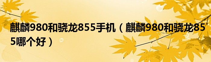麒麟980和骁龙855手机(麒麟980和骁龙855哪个好)