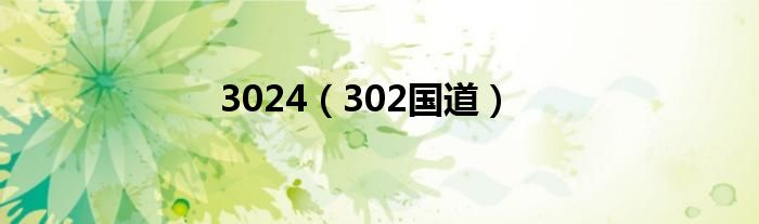 3024（302国道）