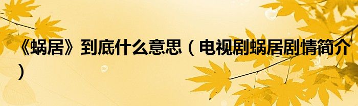 《蜗居》到底什么意思(电视剧蜗居剧情简介)