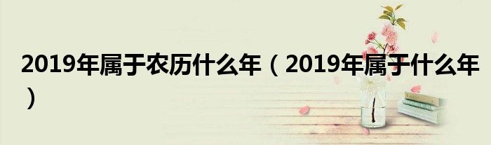 2019年属于农历什么年(2019年属于什么年)