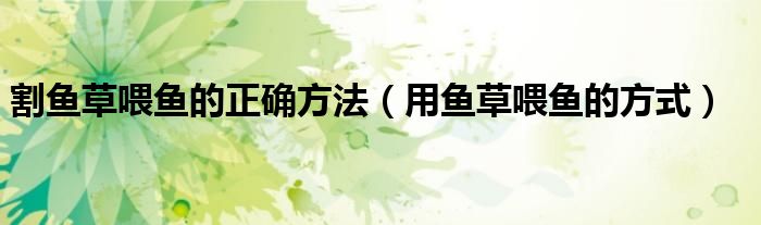 割鱼草喂鱼的正确方法(用鱼草喂鱼的方式)