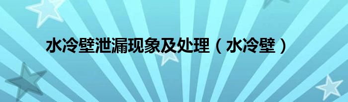 水冷壁泄漏现象及处理(水冷壁)