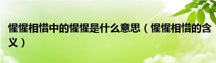 惺惺相惜中的惺惺是什么意思(惺惺相惜的含义)