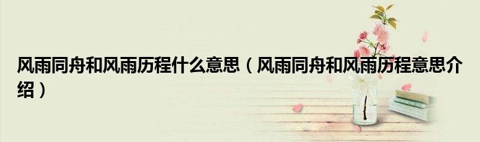 风雨同舟和风雨历程什么意思(风雨同舟和风雨历程意思介绍)