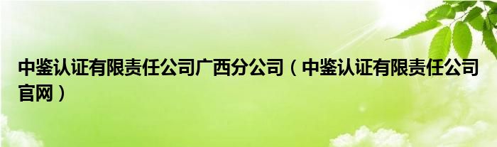 中鉴认证有限责任公司广西分公司(中鉴认证有限责任公司官网)