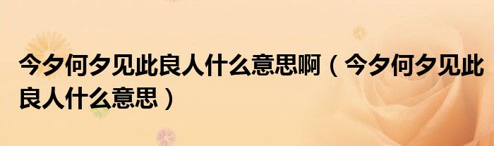 今夕何夕见此良人什么意思啊(今夕何夕见此良人什么意思)