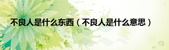 不良人是什么东西(不良人是什么意思)
