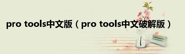 pro tools中文版(pro tools中文破解版)