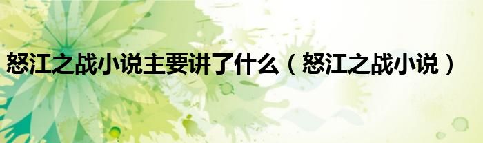 怒江之战小说主要讲了什么(怒江之战小说)