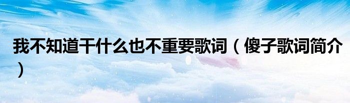 我不知道干什么也不重要歌词(傻子歌词简介)