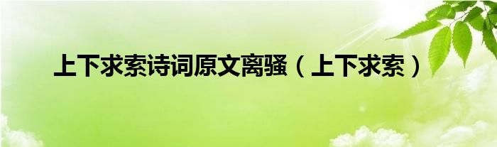 上下求索诗词原文离骚(上下求索)