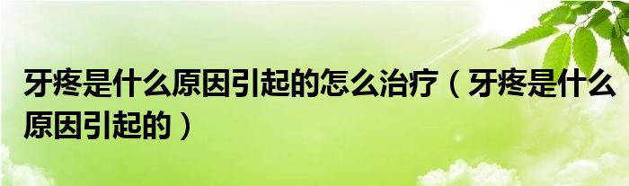 牙疼是什么原因引起的怎么治疗(牙疼是什么原因引起的)