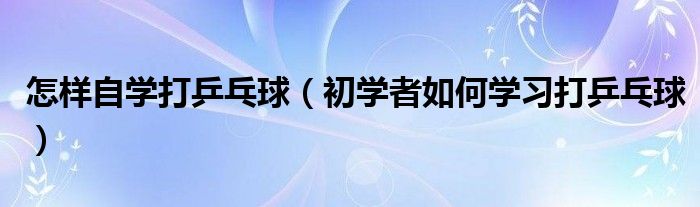 怎样自学打乒乓球(初学者如何学习打乒乓球)