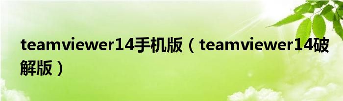 teamviewer14手机版(teamviewer14破解版)