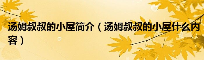 汤姆叔叔的小屋简介(汤姆叔叔的小屋什么内容)