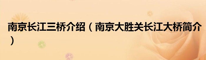 南京长江三桥介绍(南京大胜关长江大桥简介)