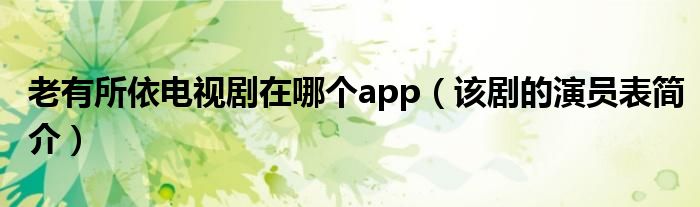 老有所依电视剧在哪个app（该剧的演员表简介）