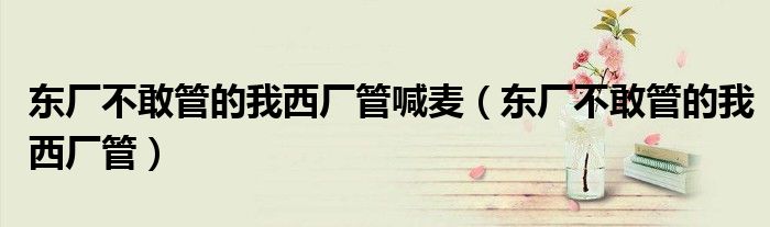 东厂不敢管的我西厂管喊麦(东厂不敢管的我西厂管)