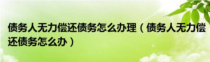 债务人无力偿还债务怎么办理(债务人无力偿还债务怎么办)