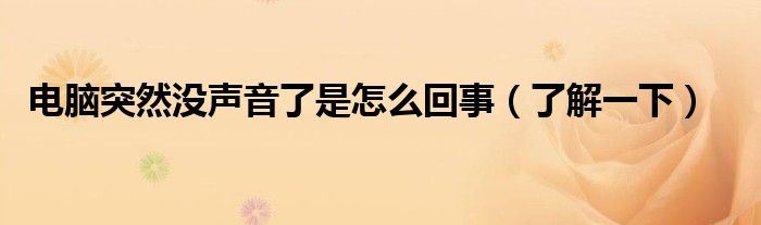 电脑突然没声音了是怎么回事(了解一下)
