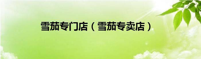 雪茄专门店（雪茄专卖店）
