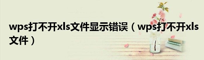 wps打不开xls文件显示错误(wps打不开xls文件)