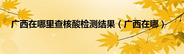 广西在哪里查核酸检测结果(广西在哪)