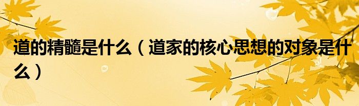道的精髓是什么(道家的核心思想的对象是什么)