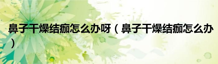 鼻子干燥结痂怎么办呀(鼻子干燥结痂怎么办)