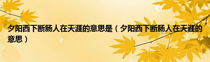 夕阳西下断肠人在天涯的意思是(夕阳西下断肠人在天涯的意思)
