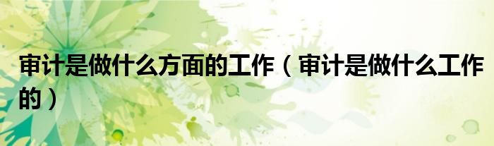 审计是做什么方面的工作(审计是做什么工作的)