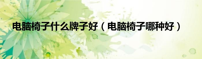 电脑椅子什么牌子好(电脑椅子哪种好)