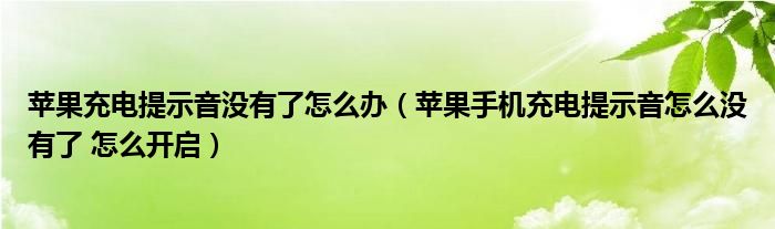 苹果充电提示音没有了怎么办(苹果手机充电提示音怎么没有了 怎么开启)