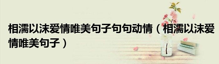 相濡以沫爱情唯美句子句句动情(相濡以沫爱情唯美句子)