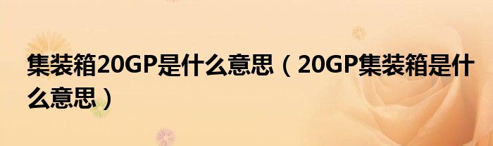 集装箱20GP是什么意思(20GP集装箱是什么意思)