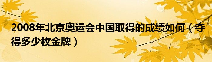 2008年北京奥运会中国取得的成绩如何(夺得多少枚金牌)