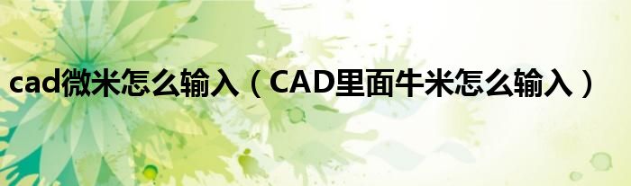 cad微米怎么输入(CAD里面牛米怎么输入)