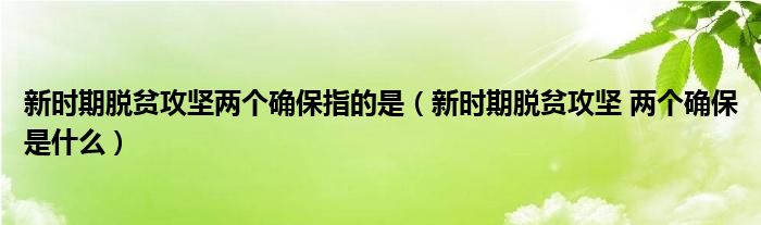 新时期脱贫攻坚两个确保指的是(新时期脱贫攻坚 两个确保是什么)
