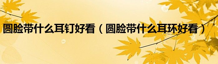 圆脸带什么耳钉好看(圆脸带什么耳环好看)