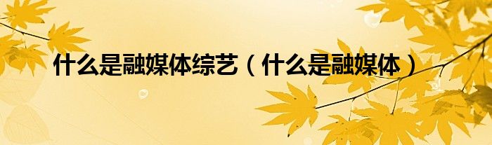 什么是融媒体综艺(什么是融媒体)